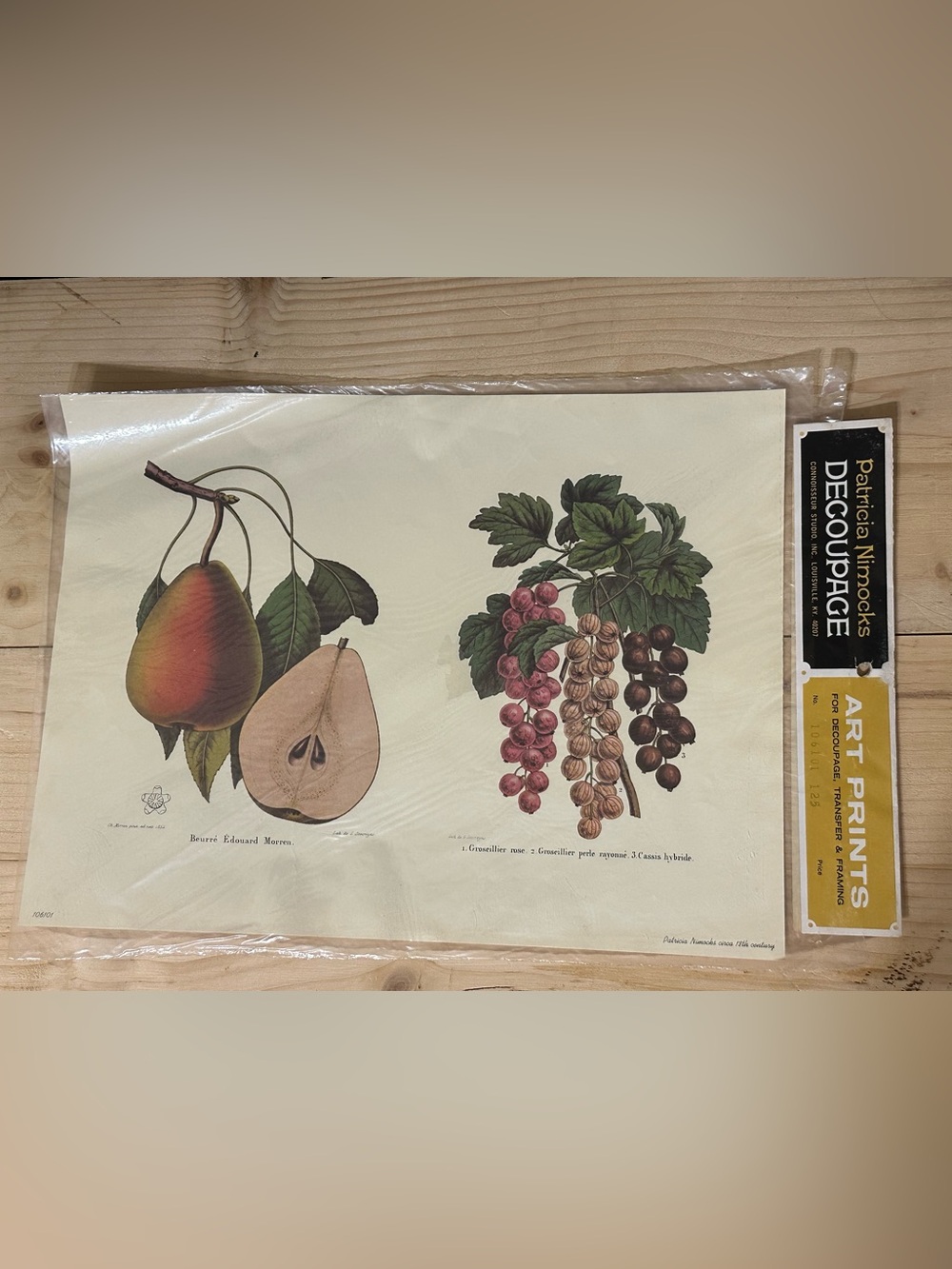 Vintage 1971 Patricia Nimocks Decoupage Fruit Art for Framing Grapes